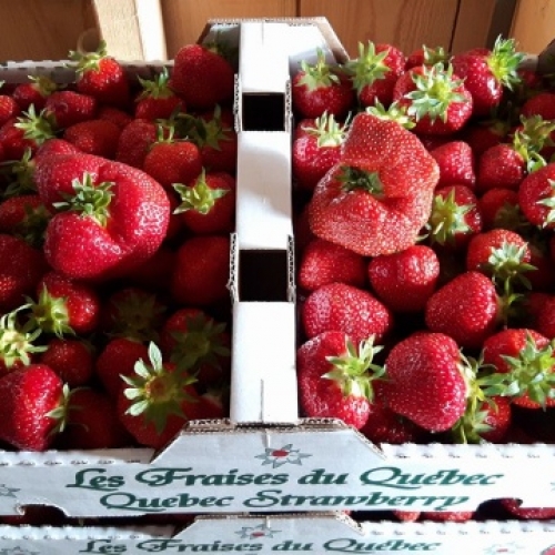 Vallée des grands potager